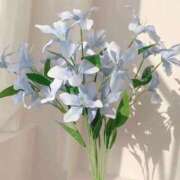 ヒメ日記 2026/03/04 14:23 投稿 もな ゆるふわ彼女