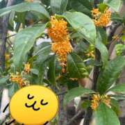 ヒメ日記 2025/10/23 10:37 投稿 早見 熟女の風俗最終章　鶯谷店