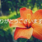 ヒメ日記 2025/08/01 16:18 投稿 こと 熟女の風俗最終章 沼津店
