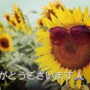 ヒメ日記 2025/08/04 12:38 投稿 こと 熟女の風俗最終章 沼津店