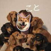 ヒメ日記 2026/03/20 07:48 投稿 こと 熟女の風俗最終章 沼津店