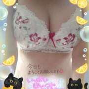 ヒメ日記 2025/09/25 10:51 投稿 みつり 熟女の風俗最終章 新宿店