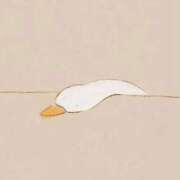 ヒメ日記 2025/09/20 08:33 投稿 ここみ 手コキガールズコレクション