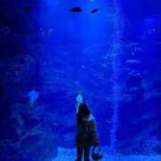 ヒメ日記 2025/10/11 21:43 投稿 莉々夏～りりか～ ドMバスターズ 京都店