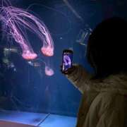 ヒメ日記 2026/01/23 20:46 投稿 莉々夏～りりか～ ドMバスターズ 京都店