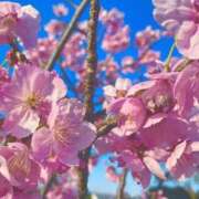 ヒメ日記 2026/04/06 18:46 投稿 莉々夏～りりか～ ドMバスターズ 京都店