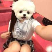 ヒメ日記 2025/09/02 09:21 投稿 うの☆彼女の全てに沼ります♪ 妹系イメージSOAP萌えフードル学園 大宮本校