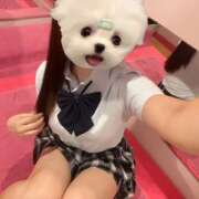 ヒメ日記 2025/09/12 14:13 投稿 うの☆彼女の全てに沼ります♪ 妹系イメージSOAP萌えフードル学園 大宮本校