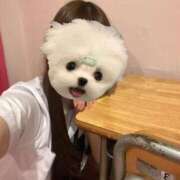 ヒメ日記 2025/09/19 16:22 投稿 うの☆彼女の全てに沼ります♪ 妹系イメージSOAP萌えフードル学園 大宮本校