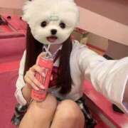 ヒメ日記 2025/10/01 14:10 投稿 うの☆彼女の全てに沼ります♪ 妹系イメージSOAP萌えフードル学園 大宮本校