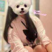 ヒメ日記 2025/10/13 19:29 投稿 うの☆彼女の全てに沼ります♪ 妹系イメージSOAP萌えフードル学園 大宮本校