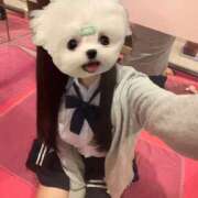 ヒメ日記 2025/11/29 17:07 投稿 うの☆彼女の全てに沼ります♪ 妹系イメージSOAP萌えフードル学園 大宮本校