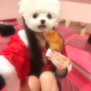 ヒメ日記 2025/12/24 17:12 投稿 うの☆彼女の全てに沼ります♪ 妹系イメージSOAP萌えフードル学園 大宮本校