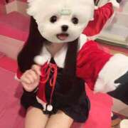 ヒメ日記 2025/12/25 12:21 投稿 うの☆彼女の全てに沼ります♪ 妹系イメージSOAP萌えフードル学園 大宮本校