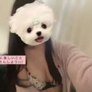 ヒメ日記 2026/01/03 10:19 投稿 うの☆彼女の全てに沼ります♪ 妹系イメージSOAP萌えフードル学園 大宮本校