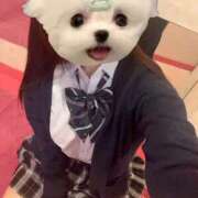 うの☆彼女の全てに沼ります♪ このあとすぐ！ 妹系イメージSOAP萌えフードル学園 大宮本校