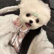 ヒメ日記 2026/01/30 12:31 投稿 うの☆彼女の全てに沼ります♪ 妹系イメージSOAP萌えフードル学園 大宮本校