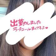 れむ 会える？？ ぽちゃカワ女子専門店 千葉松戸店