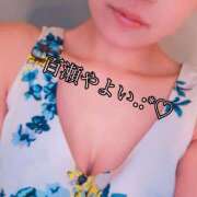 ヒメ日記 2025/08/05 10:24 投稿 百瀬　やよい リラクゼーションサロン　le Cocon～ルココン～