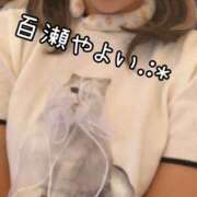 ヒメ日記 2025/08/26 05:42 投稿 百瀬　やよい リラクゼーションサロン　le Cocon～ルココン～