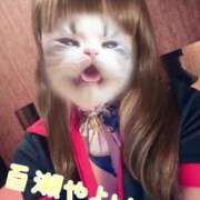 ヒメ日記 2025/10/11 05:57 投稿 百瀬　やよい リラクゼーションサロン　le Cocon～ルココン～