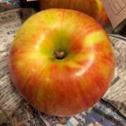 ヒメ日記 2025/09/02 14:56 投稿 100%素人いちか☆即即高級サー ROYAL CLUB姫