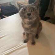 ヒメ日記 2025/12/03 21:21 投稿 さくら カノジョ感　逆セーラー服しか勝たん　錦店