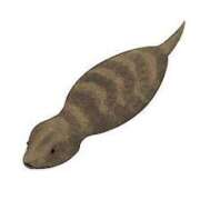 ヒメ日記 2025/08/13 21:14 投稿 みほ 濃厚即19妻