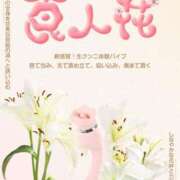 ヒメ日記 2025/09/25 06:04 投稿 みほ 濃厚即19妻