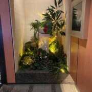 ヒメ日記 2025/12/20 06:14 投稿 みほ 濃厚即19妻