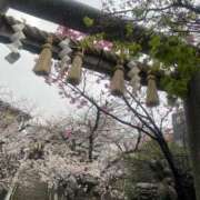 ヒメ日記 2026/03/25 17:32 投稿 みほ 濃厚即19妻