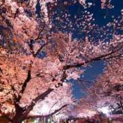 ヒメ日記 2026/04/13 11:24 投稿 みほ 濃厚即19妻