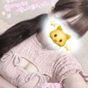 ヒメ日記 2025/10/08 10:56 投稿 かれん 横浜ひよこ倶楽部