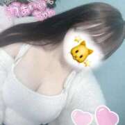 ヒメ日記 2025/10/09 10:23 投稿 かれん 横浜ひよこ倶楽部