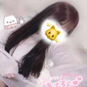 ヒメ日記 2025/10/20 10:44 投稿 かれん 横浜ひよこ倶楽部