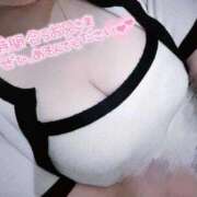 ヒメ日記 2025/11/13 18:06 投稿 かれん 横浜ひよこ倶楽部