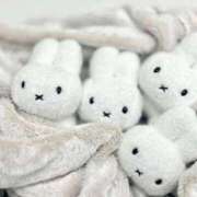 ヒメ日記 2025/10/24 22:36 投稿 河合ナース 病院