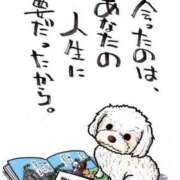 ヒメ日記 2026/08/17 11:01 投稿 はづき 東京人妻セレブリティ（ユメオト）