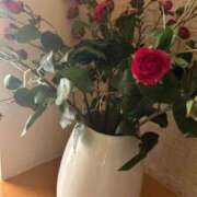 ヒメ日記 2025/09/18 17:14 投稿 一ノ瀬 ローズマリー大塚