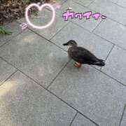 ヒメ日記 2025/09/30 15:14 投稿 一ノ瀬 ローズマリー大塚