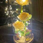 一ノ瀬 ありがとうの気持ち ローズマリー大塚