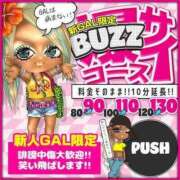 ヒメ日記 2025/08/07 08:30 投稿 おたまちゃん buzz-B