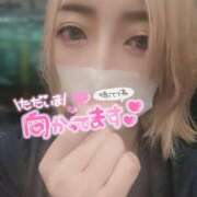 ヒメ日記 2025/08/12 06:14 投稿 おたまちゃん buzz-B