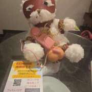 ヒメ日記 2025/08/18 21:30 投稿 おたまちゃん buzz-B