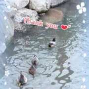 ヒメ日記 2025/12/27 23:21 投稿 りず ぷるるんマダム 難波店