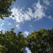 ヒメ日記 2025/10/28 12:11 投稿 ちづる 渋谷 風俗 奥様発情の会