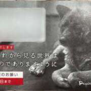 ちづる 出勤＆社会貢献活動だ(∪・ω･)ﾜﾝｯ 渋谷 風俗 奥様発情の会