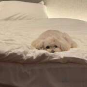 ヒメ日記 2026/01/09 11:27 投稿 ちづる 渋谷 風俗 奥様発情の会