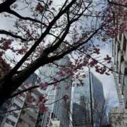 ヒメ日記 2026/03/17 22:30 投稿 ちづる 渋谷 風俗 奥様発情の会