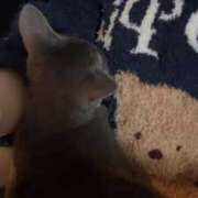 ヒメ日記 2026/03/06 18:29 投稿 ゆる もも尻本店